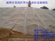 深圳坪山工业区绿化